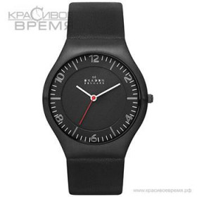Skagen SKW6113